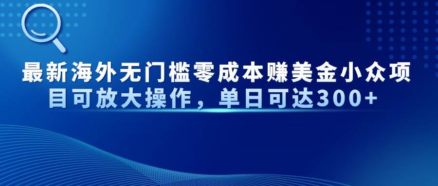 （14542期）最新海外无门槛零成本赚美金小众项目可放大操作，单日可达300+-千帆网赚