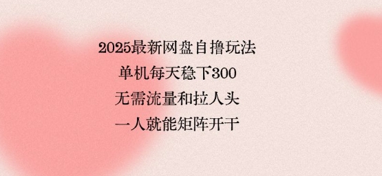 2025最新网盘自撸玩法，单机每天稳下3张，无需流量和拉人头，一个人就可轻松矩阵，全网独一份【揭秘】-千帆网赚
