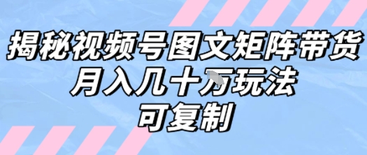 解密视频号图文矩阵带货，月入几个W的打法，可复制-千帆网赚