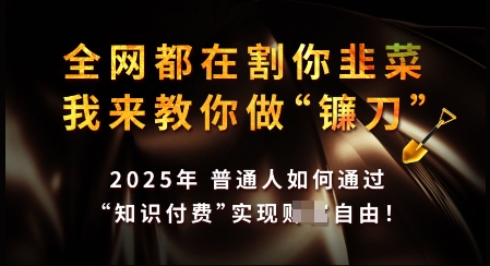 知识付费如何做到月入过W+，2025我来教你做“镰刀”【揭秘】-千帆网赚