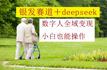 银发赛道+deepseek数字人全域变现，小白也能操作-千帆网赚