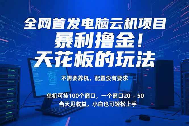 （15323期）电脑云机项目 暴力撸金玩法，不需要养机 配置没有要求 单机100个窗口一…-千帆网赚
