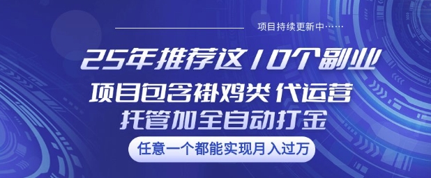 25年推荐这10个副业项目包含褂鸡类、代运营托管类、全自动打金类【揭秘】-千帆网赚