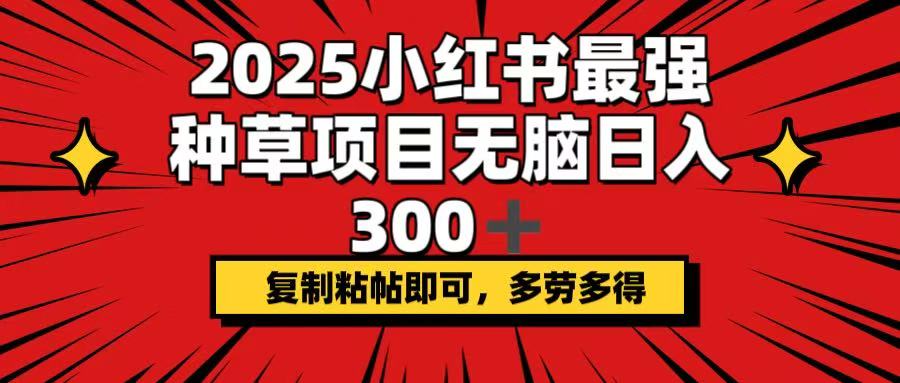 （14375期）2025小红书最强种草项目，无脑日入300+，复制粘帖即可，多劳多得-千帆网赚