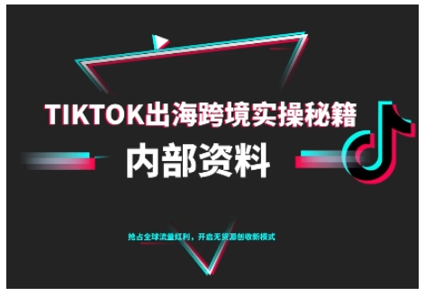 TikTok跨境电商0-1搭建运营，TK出海跨境实操秘籍（10月更新）-千帆网赚