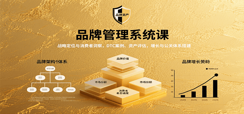 品牌管理系统课：战略定位与消费者洞察，DTC案例、资产评估，增长与公关体系搭建-千帆网赚