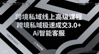 跨境私域线上高级课程，跨境私域极速成交3.0+Ai智能客服-千帆网赚