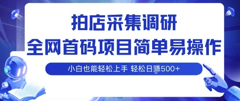 拍店采集调研，全网首码项目，简单易操作， 小白也能轻松上手，多账号操作，轻松日入5张【揭秘】-千帆网赚