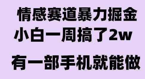 情感暴力掘金项目，新人操作一周挣了2W，长期稳定小白可做【揭秘】-千帆网赚