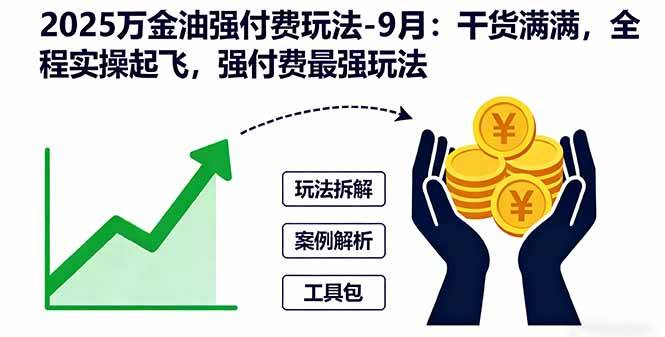 （16202期）2025万金油强付费玩法-9月：干货满满，全程实操起飞，强付费最强玩法-千帆网赚