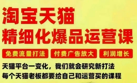 淘宝天猫精细化爆品运营课，免费流量打法-付费广告放大-利润增长-三大核心痛点，一次全部解决-千帆网赚