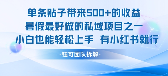 单条贴子带来5张的收益，暑假最好做的私域项目之一，小白也能轻松上手，有小红书就行-千帆网赚