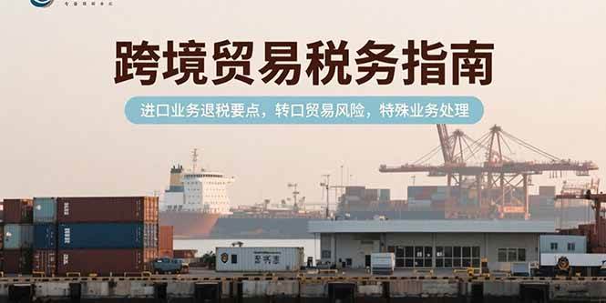 （15381期）跨境贸易税务指南，进口业务退税要点，转口贸易风险，特殊业务处理-千帆网赚