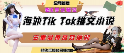 海外tiktok小说推文暴力项目，高停留率，高转化率，上手后一天搞顿饭钱不是问题-千帆网赚