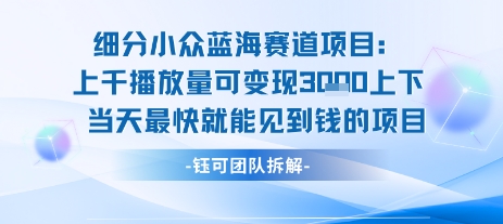 小众蓝海赛道项目：当天变现1k+适合新手操作 +适合长期玩-千帆网赚