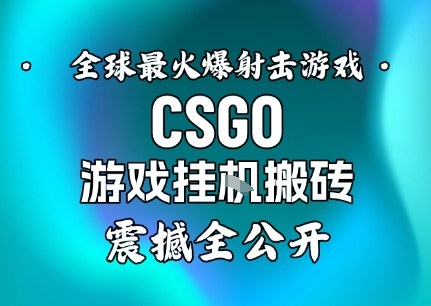 【年底大揭秘】基于全球最火爆的射击CSGO游戏挂G搬砖，日入5张+，震撼公开-千帆网赚