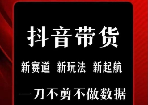 抖音短视频一刀不剪带货，不剪辑，不直播，每天发个视频，等着出单获取带货佣金-千帆网赚