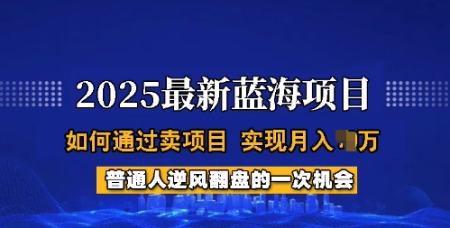 2025蓝海项目，普通人如何通过卖项目，实现月入过W，全过程【揭秘】-千帆网赚