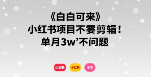 小白可来 小红书项目不需要剪辑 单月3w不是问题-千帆网赚