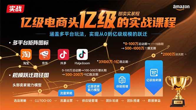 （15803期）亿级电商头部卖家的实战课程：涵盖多平台玩法，实现从0到亿级规模的跃迁-千帆网赚