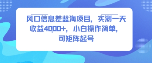 风口信息差蓝海项目，实测一天收益4k+，小白操作简单，可矩阵起号-千帆网赚