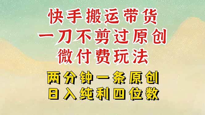 （15577期）快手黑科技搬运带货，一刀不剪过原创，微付费投流玩法，轻松日入四位数…-千帆网赚