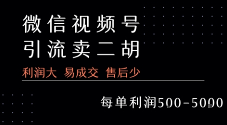 视频号卖二胡教程，利润大 易成交 售后少，一单利润5张+-千帆网赚