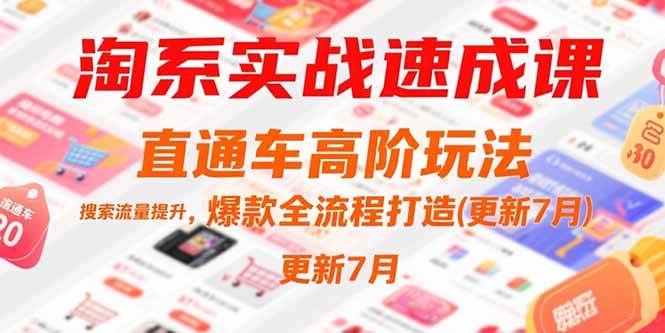 （15374期）淘系实战速成课，直通车高阶玩法，搜索流量提升，爆款全流程打造(更新7月)-千帆网赚