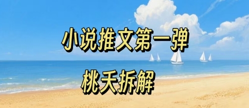 小说推文项目操作全流程第一弹，0粉就能做，门槛低非常适合新手-千帆网赚