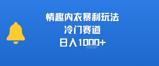 情趣内衣暴利玩法，冷门赛道，日入1k+-千帆网赚