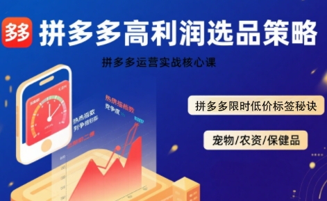 拼多多选品暴利技术实战课，拼多多高利润选品策略，拼多多限时低价标签秘诀-千帆网赚