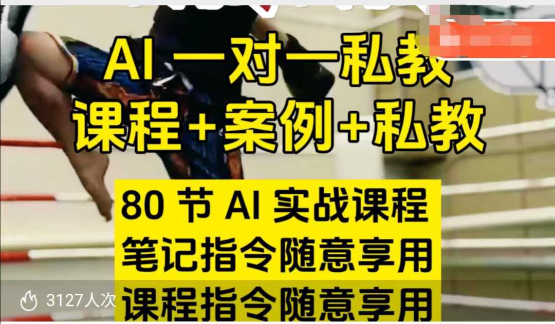 AI指令实战课，课程+案例，80节AI实战课程，笔记指令随意享用，课程指令随意享用（更新7月）-千帆网赚
