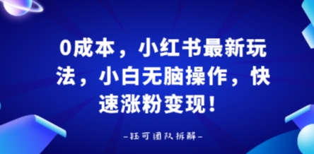 0成本，小红书最新玩法，小白无脑操作，快速涨粉变现-千帆网赚