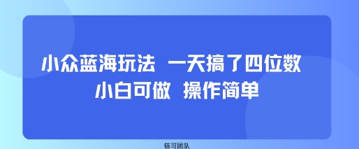 小众蓝海玩法 一天搞了四位数 小白可做 操作简单-千帆网赚