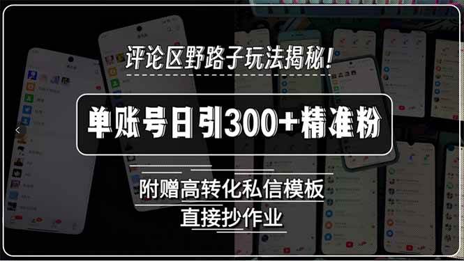 （15466期）评论区野路子玩法揭秘！单账号日引300+精准粉，附赠高转化私信模板，直…-千帆网赚