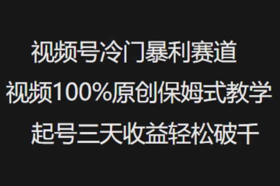 视频号冷门暴利赛道视频100%原创保姆式教学起号三天收益轻松破千-千帆网赚