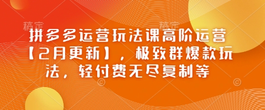 拼多多运营玩法课高阶运营【2月更新】，极致群爆款玩法，轻付费无尽复制等-千帆网赚