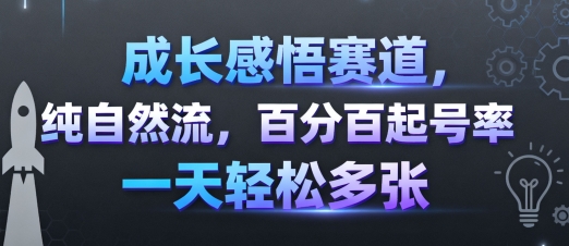 成长感悟赛道，纯自然流，百分百起号率 一天轻松多张-千帆网赚