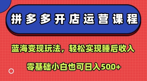 拼多多开店运营课程：蓝海变现玩法，轻松实现睡后收入，零基础小白也可日入5张-千帆网赚