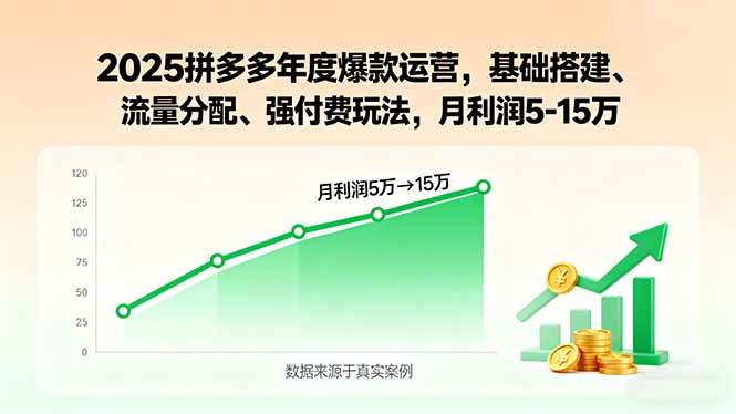 （15973期）2025拼多多年度爆款运营，基础搭建、流量分配、强付费玩法，月利润5-15万-千帆网赚