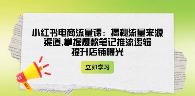 （14318期）小红书电商流量课：揭秘流量来源渠道,掌握爆款笔记推流逻辑,提升店铺曝光-千帆网赚