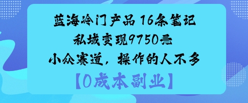 蓝海冷门产品：16条笔记私域变现9750米小众赛道，操作的人不多-千帆网赚