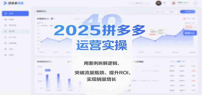 2025拼多多运营实操，用案例拆解逻辑，突破流量瓶颈、提升ROI，实现销量增长-千帆网赚