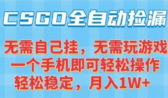 CSGO自动捡漏项目，最新独家玩法，一个手机可操作，新手小白轻松月入1W+，操作简单易上手【揭秘】-千帆网赚