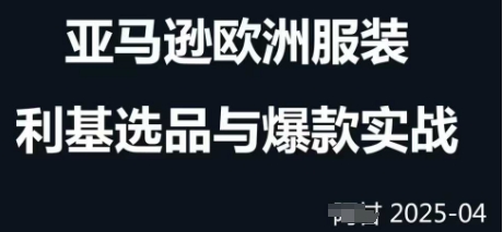 跨境电商选品案例24-25年，聚焦跨境电商选品策略与运营优化，助力卖家挖掘蓝海市场-千帆网赚