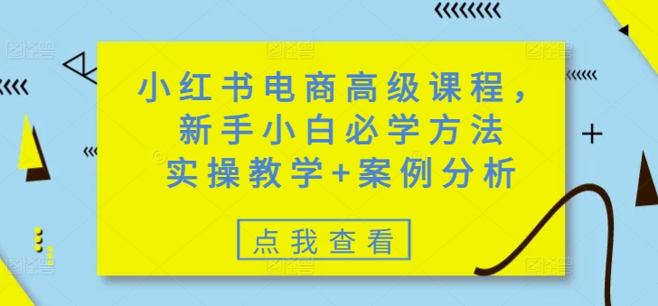 小红书电商高级课程，新手小白必学方法，实操教学+案例分析-千帆网赚