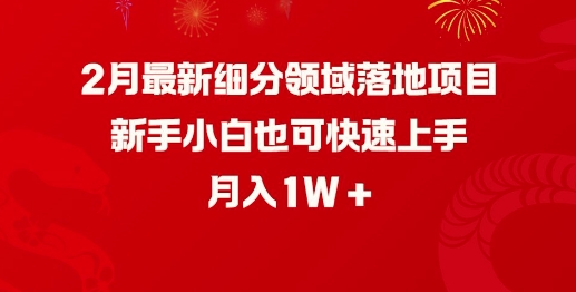 2月最新细分领域落地项目，新手小白也可快速上手，月入1W-千帆网赚
