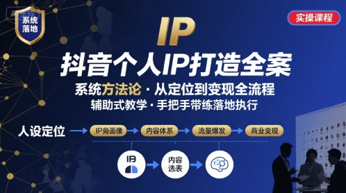 抖音个人IP系统落地实操大课，实操课程，辅助落地-千帆网赚