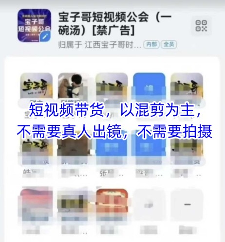 宝子哥头部团队短视频带货，以混剪为主，不需要真人出镜，不需要拍摄【更新8月】-千帆网赚