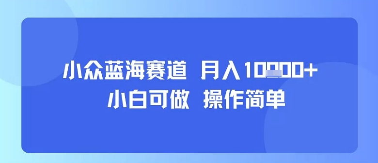 小众蓝海赛道，小白可做，操作简单，每天30分钟，月入1W+-千帆网赚